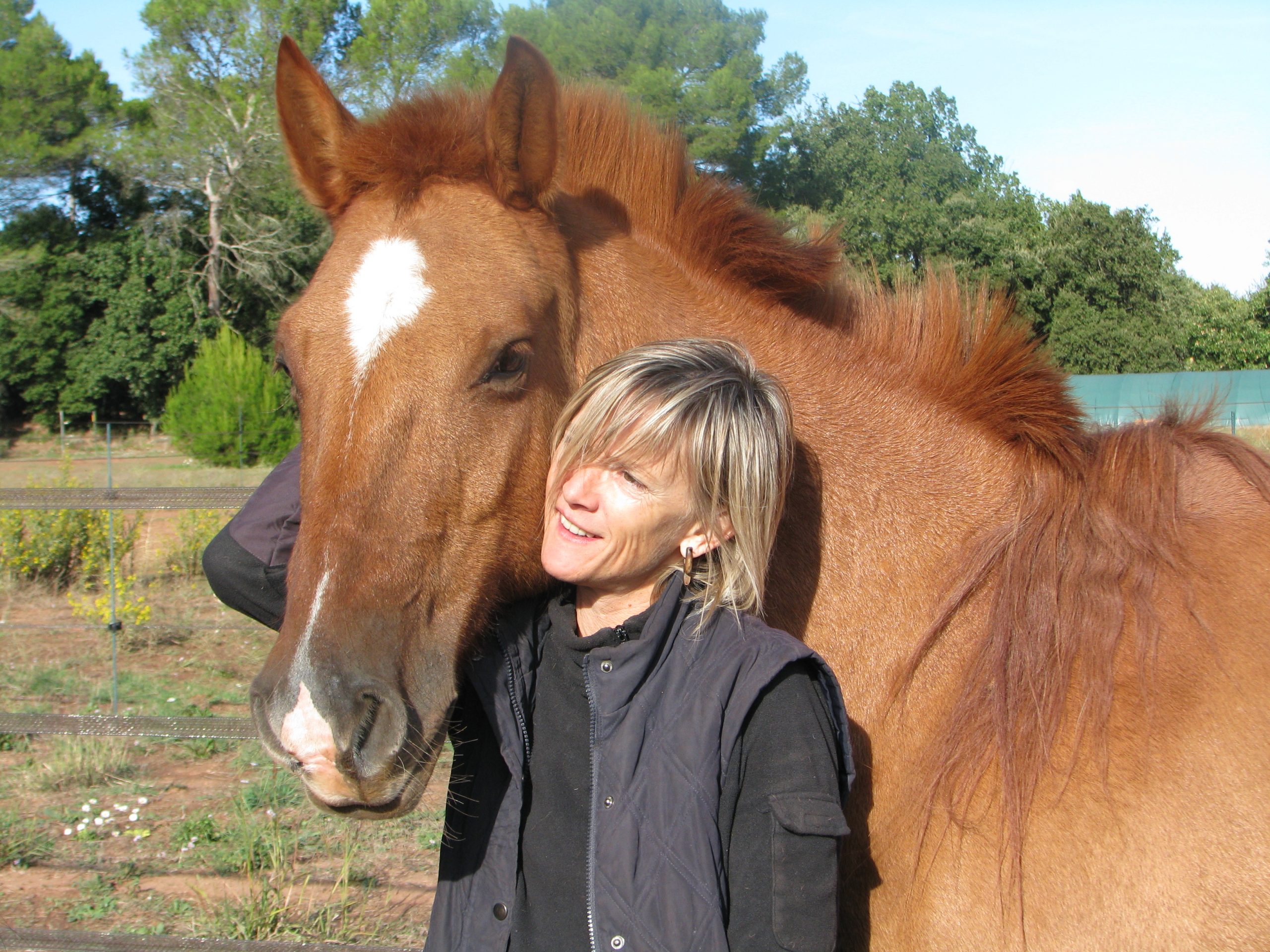 mes animaux-mes guides-Lisa Palot